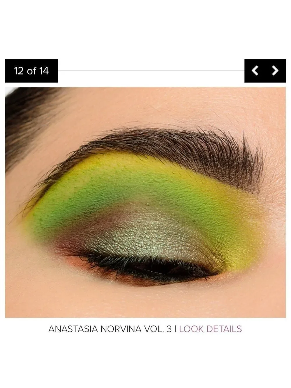 Anastasia Beverly Hills Norvina Vol 3 Pro Pigment Palette